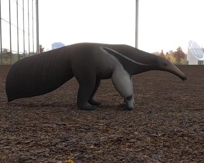 Reptile Standing On Leaf Covered Ground With Glass Wall And Trees In Background 3d model