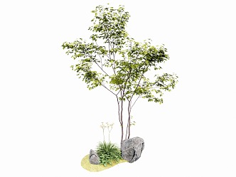 landscape tree 3d model