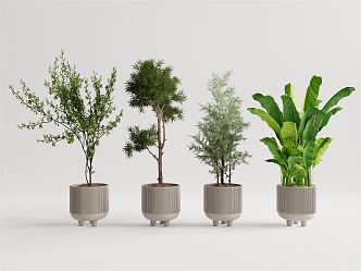 Modern potted plant potted landscape tree 3d model