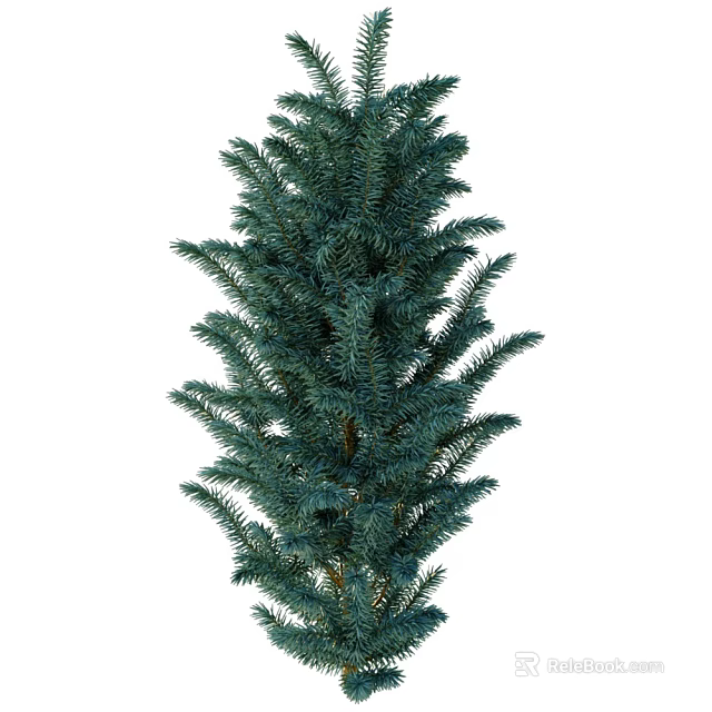 Tall Evergreen Arbor with Lush Green Foliage and Dense Upright Branches 3d model 