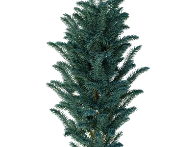 Tall Evergreen Arbor with Lush Green Foliage and Dense Upright Branches 3d model