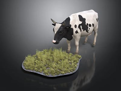 Black and White Spotted Cow Standing on Green Grass with Simple Background 3d model