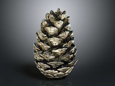 Pinecone With Metallic Texture And Detailed Scales Natural Plant Structure Isolated On Dark Background 3d model