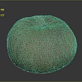 Whole Green Pumpkin With Yellow Spots And Brown Stem Surface Texture