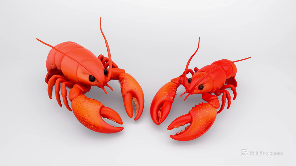 Two Red Aquatic Lobsters Facing Each Other With Open Claws On White Background 3d model