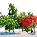 modern tree arbor landscape tree 3d model