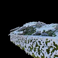 Snow Covered Green Leafy Plants With White Snow On Leaves