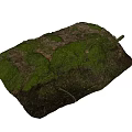Stone And Wood Natural Surface With Green Moss Texture For Outdoor Use