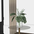 Transparent Glass Vase With Monstera Leaves on Round Glass Table Indoor Natural Light
