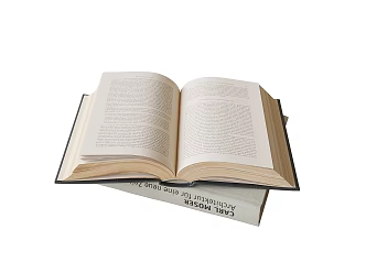 Modern Unfolding Book Ornaments 3d model