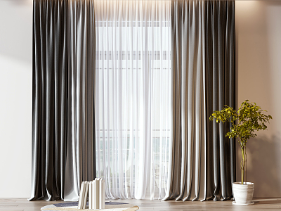 Modern Curtains 3d model