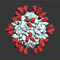 Detailed Organ And Hair Microscopic Structure With Red Blue White Spherical Components