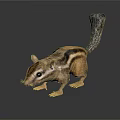 Striped Squirrel With Long Tail Standing On Black Background With Reflection