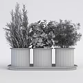 Decorative Bonsai Potted Plants with Colorful Patterned Pots and Fresh Green Herbs on White Tray