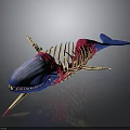 Detailed Whale Skeleton Model with Blue Head Tail Red Decoration and Golden Bones