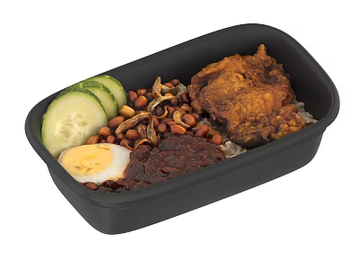 Delicious Bento Box With Fried Chicken Rice Cucumber Egg Peanuts And Chili Sauce 3d model