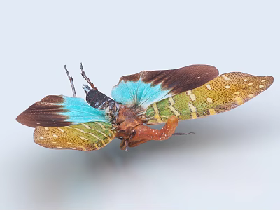 Vibrant Flying Animal With Blue Brown Green Wings And Yellow Spots 3d model