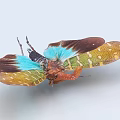 Vibrant Flying Animal With Blue Brown Green Wings And Yellow Spots