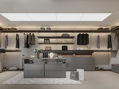 Modern Walk in Closet With Hanging Clothes Storage Shelves And Displays 3d model