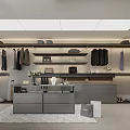 Modern Walk in Closet With Hanging Clothes Storage Shelves And Displays