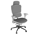 Ergonomic Mesh Office Chair With High Back Adjustable Armrests And Swivel Function 3d model