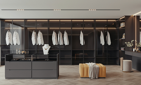 Modern Cloakroom 3d model