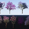 Diverse Arbor Trees Featuring Purple Pink And White Blossoms In Various Shapes