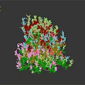 Lush Plant with Purple Flowers and Green Leaves Against Dark Background