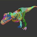 Modern Skeleton Animal Skeleton Skeleton Animal Skeleton 3d model