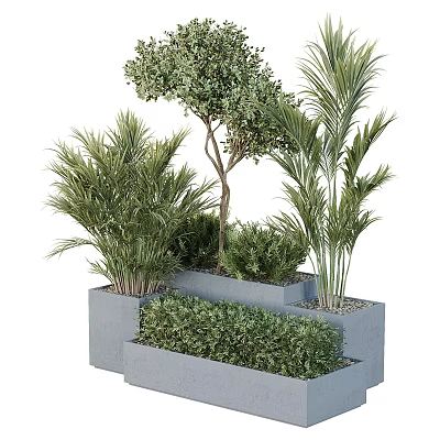 Outdoor Concrete Planters With Various Green Plants Palm Shrubs And Small Tree 3d model