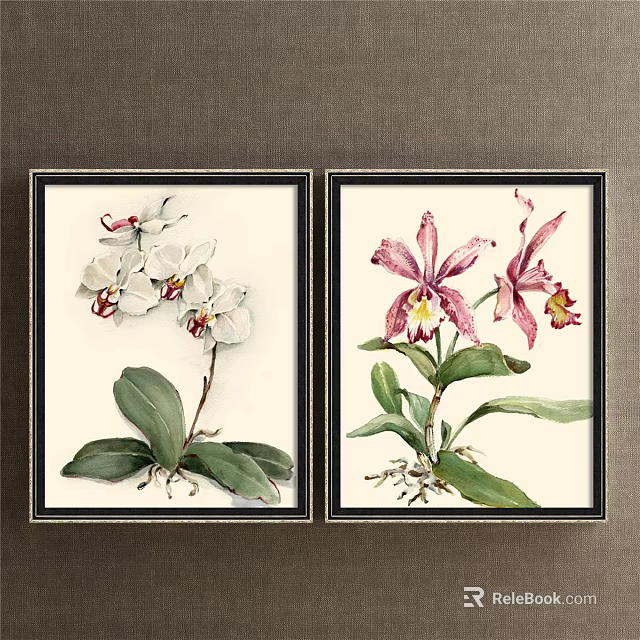 Two Framed Botanical Paintings Featuring White Pink Orchids Green Leaves Roots on Gray Wall 3d model 