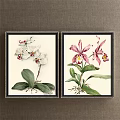 Two Framed Botanical Paintings Featuring White Pink Orchids Green Leaves Roots on Gray Wall