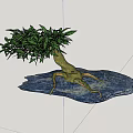 Artistic Bonsai Plant with Exposed Roots and Green Leaves on Rock Base Against Blue Sky