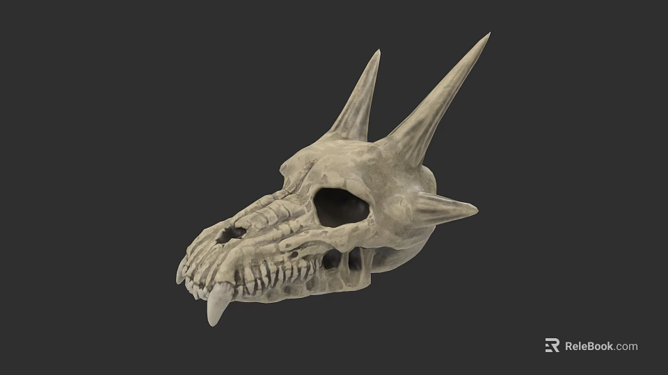 Game Movie Character Dragon Skull With Spiked Horns Sharp Teeth And Detailed Fantasy Design 3d model 