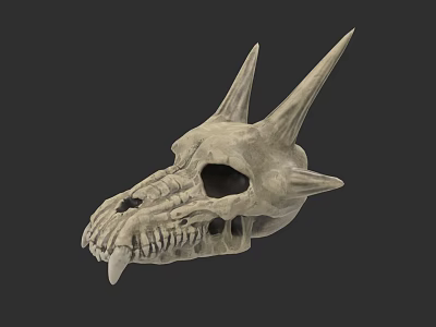 Game Movie Character Dragon Skull With Spiked Horns Sharp Teeth And Detailed Fantasy Design 3d model