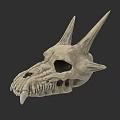 Game Movie Character Dragon Skull With Spiked Horns Sharp Teeth And Detailed Fantasy Design
