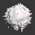 Spherical Biological Organ Structure With Hair Like Protrusions On White Surface
