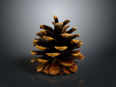 Natural Pine Cone Decorative Household Item For Home Living Room Decor 3d model