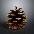 Natural Pine Cone Decorative Household Item For Home Living Room Decor