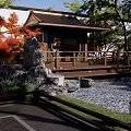 Natural Rockery Stones In Japanese Garden With Red Maple Trees Wooden Deck And Pond