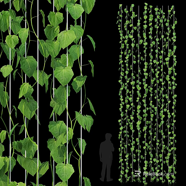 Lush Green Vines with Heart Shaped Leaves Hanging as Decorative Indoor Plants 3d model 