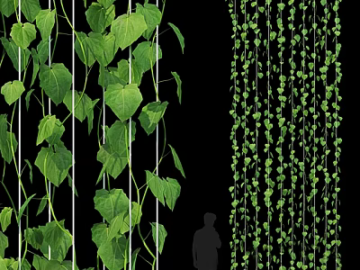 Lush Green Vines with Heart Shaped Leaves Hanging as Decorative Indoor Plants 3d model