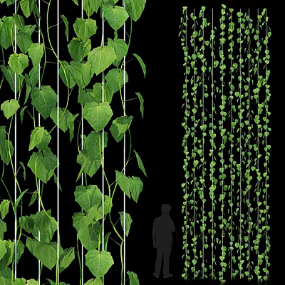 Lush Green Vines with Heart Shaped Leaves Hanging as Decorative Indoor Plants 3d model