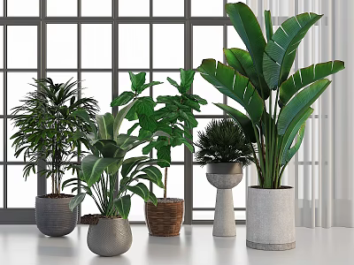 Various Indoor Potted Plants In Different Decorative Pots With Large Window Background 3d model