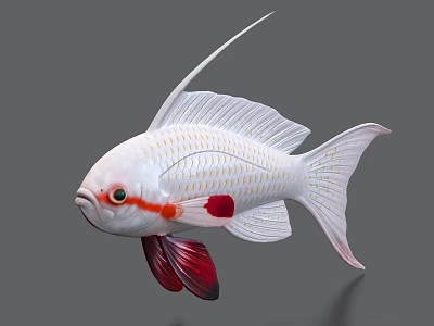 White Aquatic Fish With Red Accents Long Filamentous Fins And Detailed Textured Scales 3d model