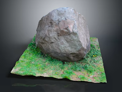 Large Natural Rock Placed On Green Grass Surface With Small Flowers 3d model
