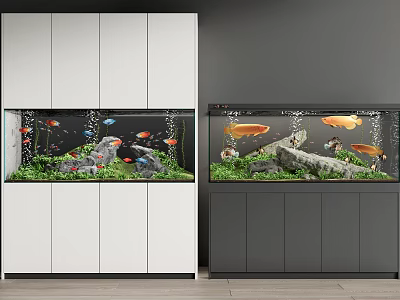 Modern Aquariums With Colorful Fish Aquatic Plants And Rock Decor 3d model
