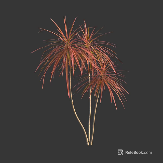 Red Pink Feathery Leaf Trees With Slender Trunks And Lush Foliage 3d model