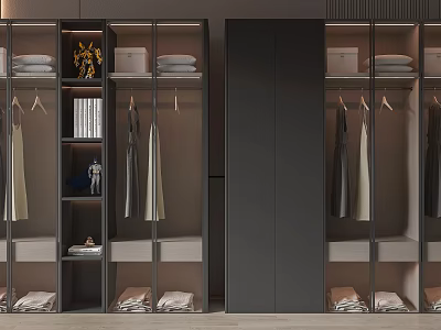 Modern Wardrobe Interior Design With Glass Doors Hanging Garments And Folded Clothes 3d model