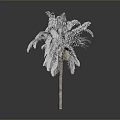 Silver Palm Tree with Feathery Fronds and Brown Trunk on Neutral Grey Background